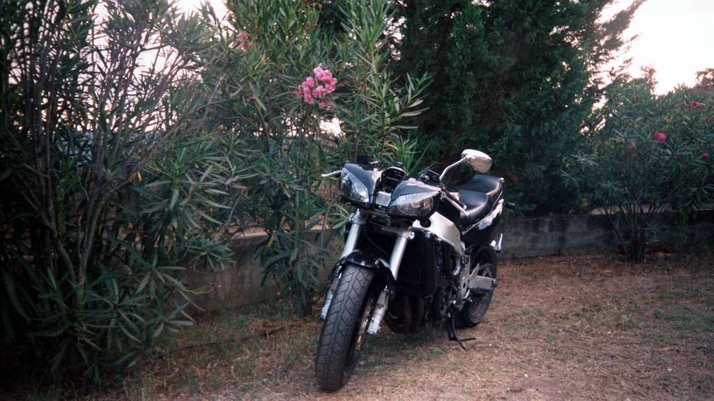 photo