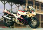 FZR
