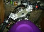 FZR