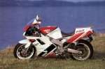 FZR