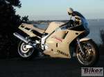 FZR