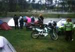 FZR