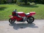 FZR
