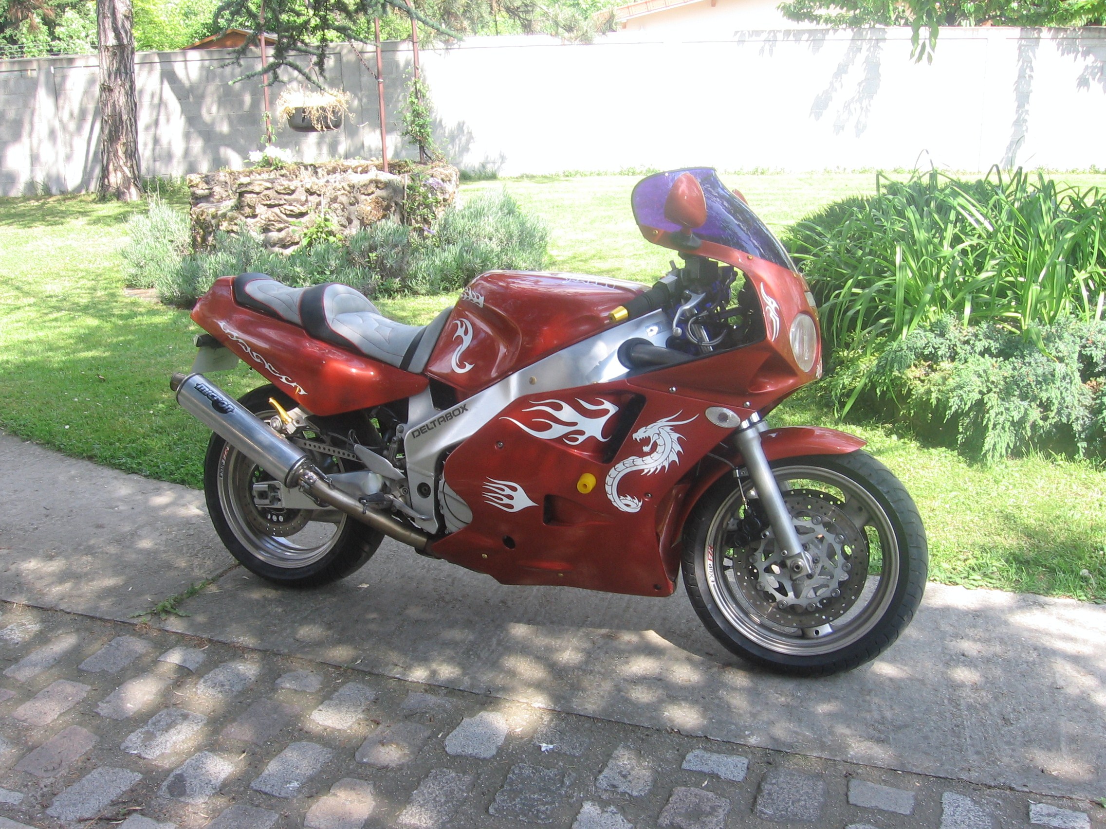 photo