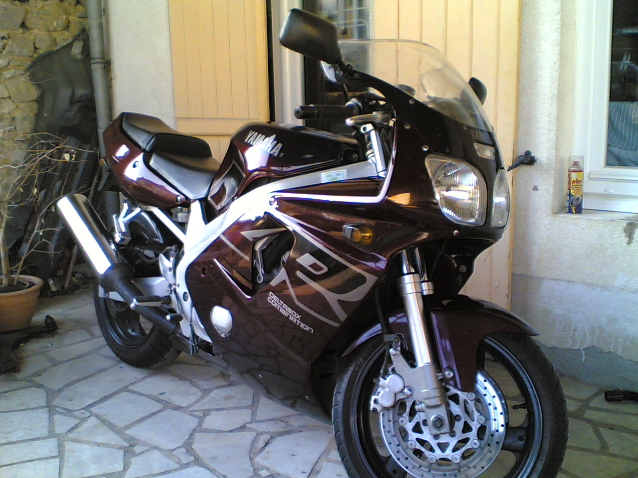 photo