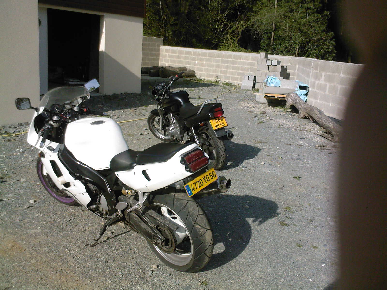 photo
