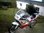 FZR