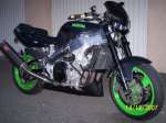 FZR