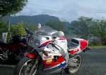 FZR