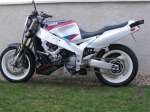 FZR