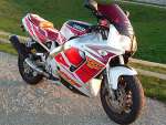 FZR