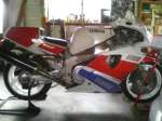 FZR