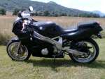 FZR