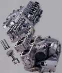 FZR