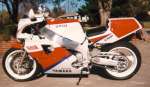 FZR