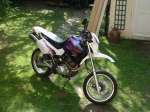 FZR