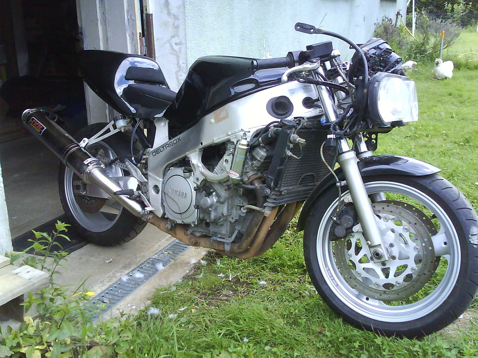 photo