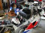 FZR