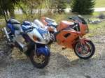 FZR