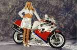 FZR